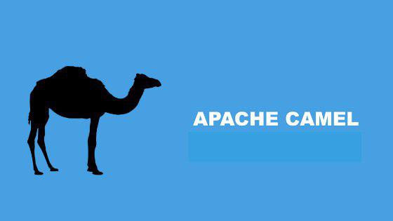 apache camel corporate training workshop